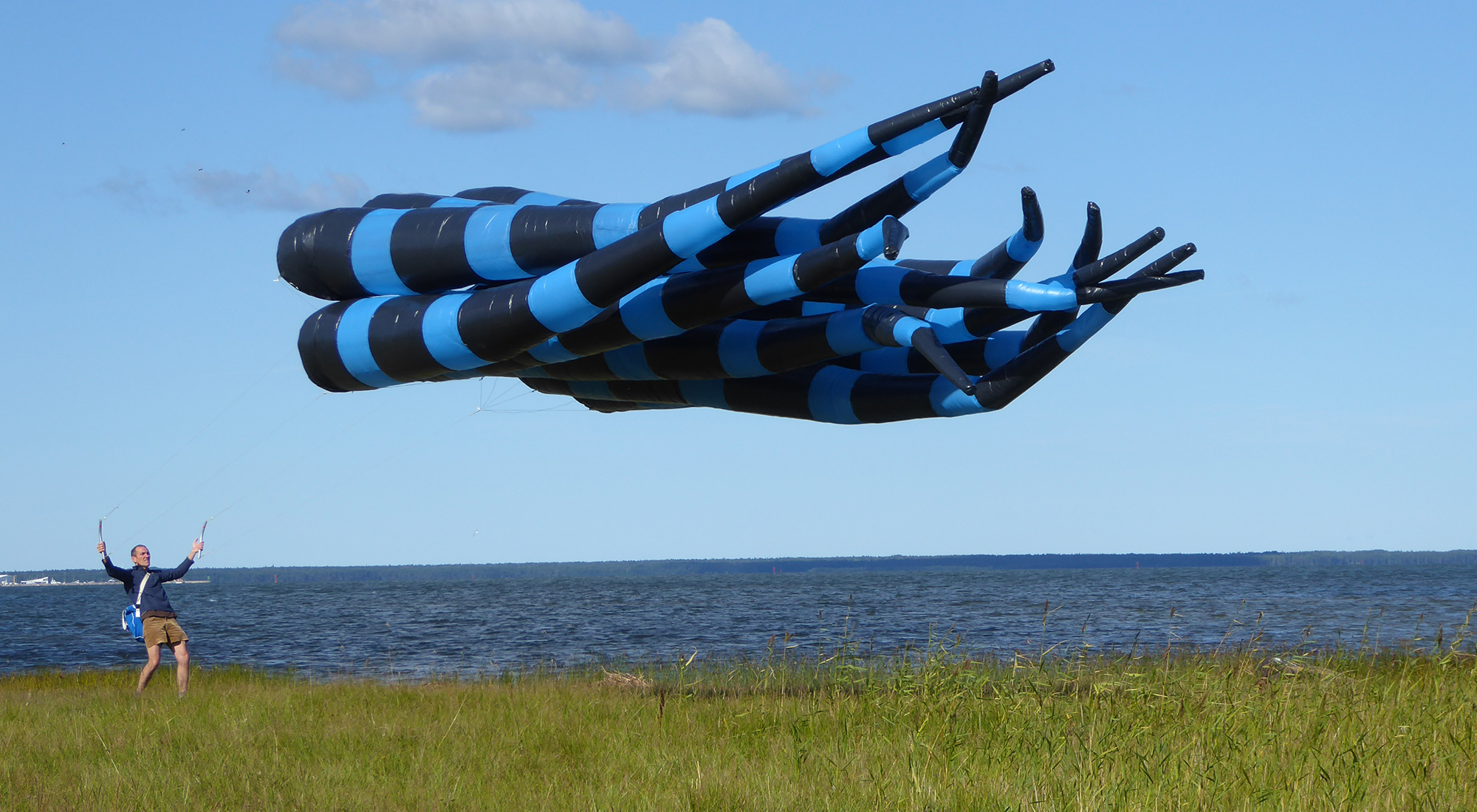 Thomas Lanfranchi Friche la Belle de Mai